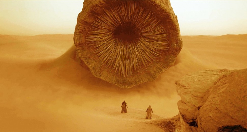 Dune 2020 Sandworms Fan Response