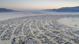 Burning Man announces 2023 festival theme, Animalia