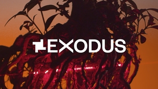 fabric announces two-day outdoor festival for summer 2023, EXODUS