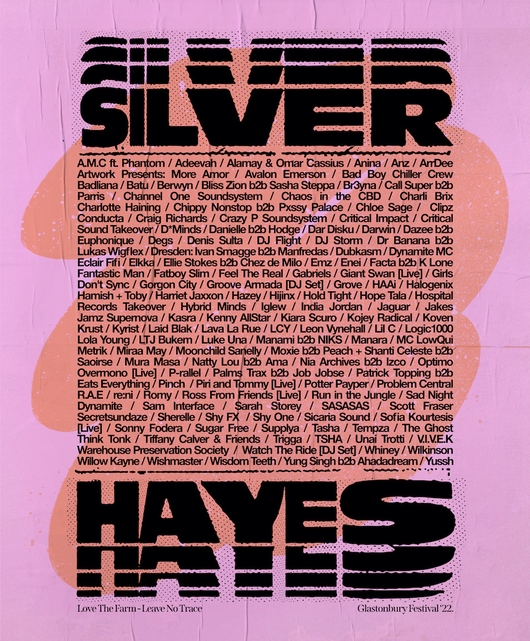 Silver Hayes flyer