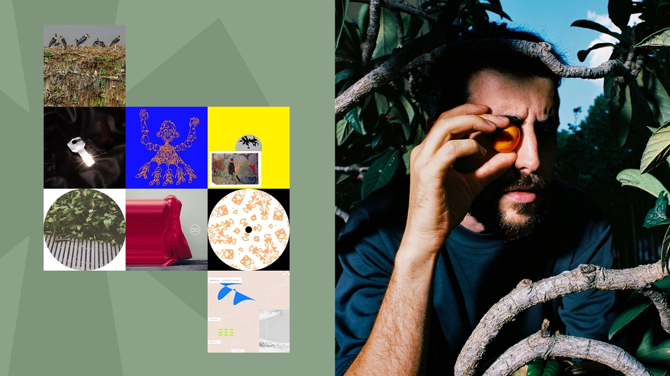 A selection of album packshots on a green background next to a press photo of Piezo, who is standing among the branches of a leafy tree holding an orange up to his eye 