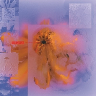 John Beltran Placid Angles ‘056 (The Lotus)’ cover art